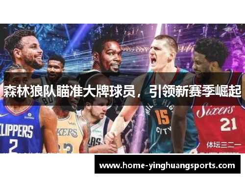森林狼队瞄准大牌球员，引领新赛季崛起
